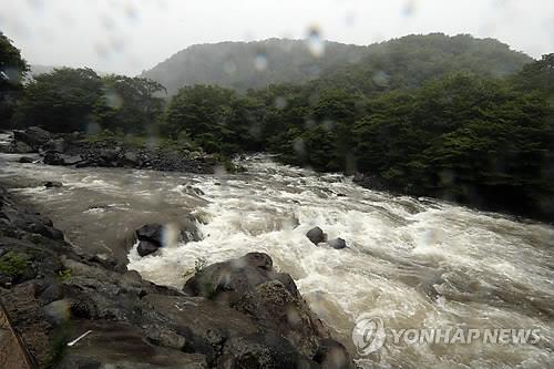 2014년 태풍 나크리 북상으로 한라산에 쏟아진 '물폭탄' [연합뉴스 자료사진]