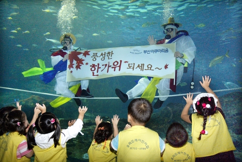 부산 아쿠아리움 수중 외줄타기(2005년)