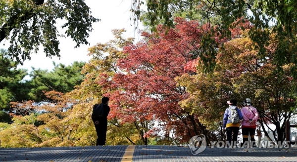 붉게 물들어가는 남산 13일 오후 서울 중구 남산을 찾은 시민들이 조금씩 물들어가는 나무 아래에서 가을 정취를 즐기고 있다. 2020.10.13 (사진=연합뉴스)