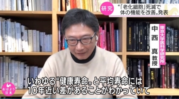 도쿄대학 의과학연구소의 나카니시 마코토(中西真) 교수가 15일 NHK 방송을 통해 노화(老化)세포를 효율적으로 제거할 방법을 발견한 것에 대해 설명하고 있다. (사진=연합뉴스)
