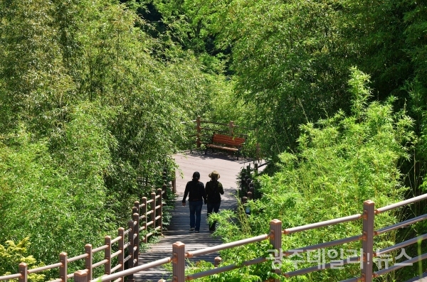 장성호 수변길의 아름다운 경관숲