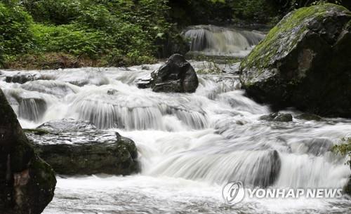 무등산국립공원 내 계곡 [연합뉴스 자료사진]