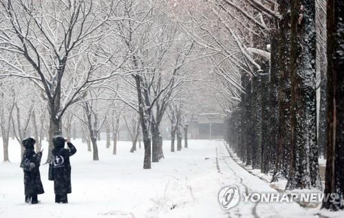 눈 쌓인 풍경지난 17일 전남대학교 모습. [연합뉴스 자료사진]